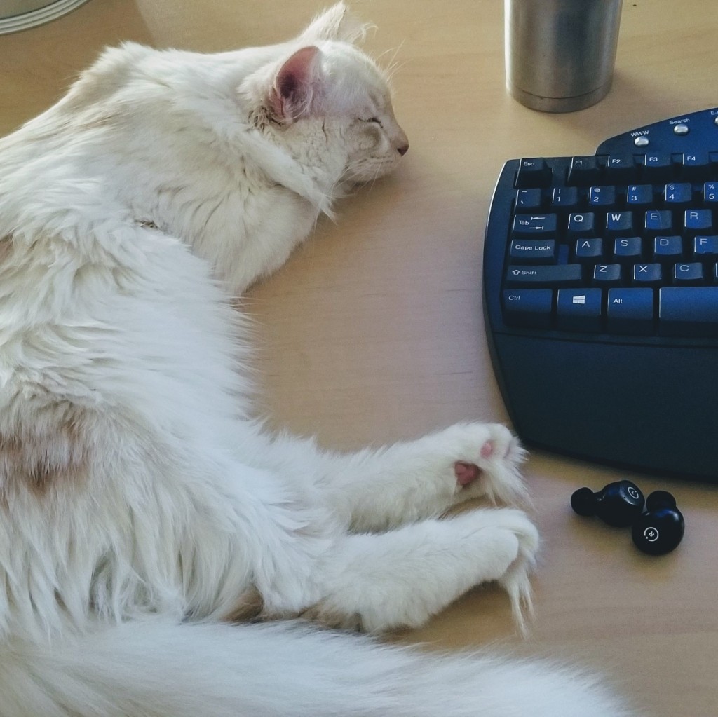 White fluffy cat asleep on a desk next to a computer keyboard and wireless headphones.